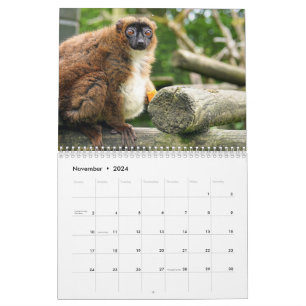 Kalender 2025