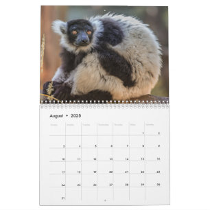 Kalender 2025