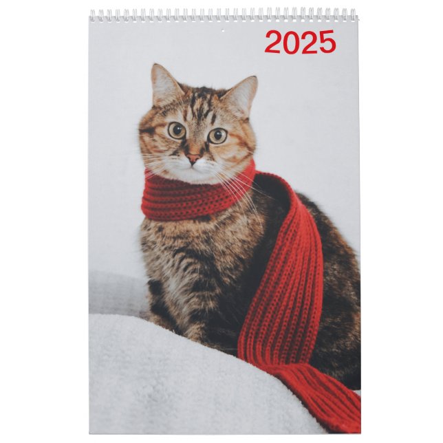 Kalender 2025 Cat Lover Katzen (Omslag)