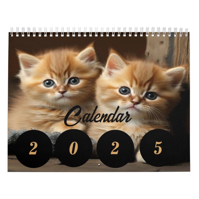 Kalender 2025 för kreditförluster - Anpassadet år (Omslag)