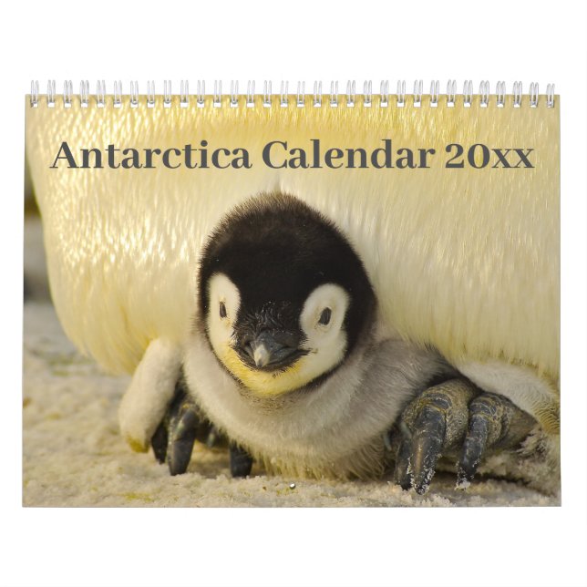 Kalender 20xx - Antarctica (Omslag)