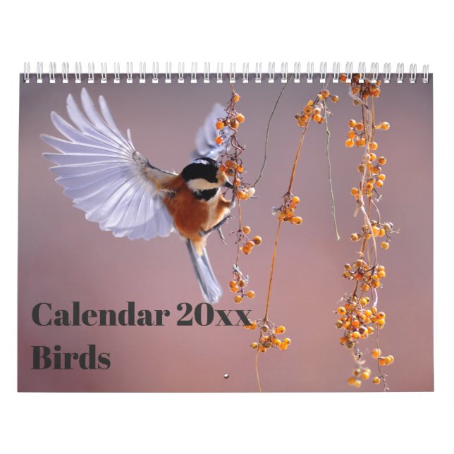 Kalender 20xx - Fåglar (Omslag)