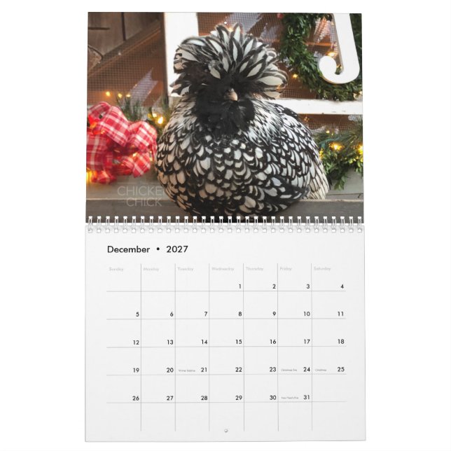 Kalender 3: Fega chick flock (Dec 2027)