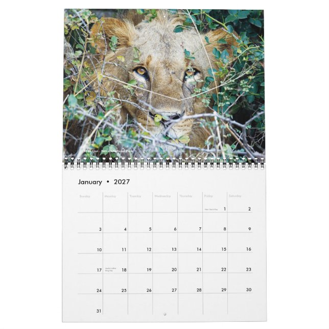Kalender - afrika på Safari (Jan 2027)