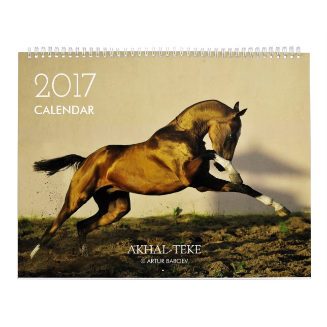Kalender. Akhal-teke HÄSTAR. 2017 Kalender (Omslag)