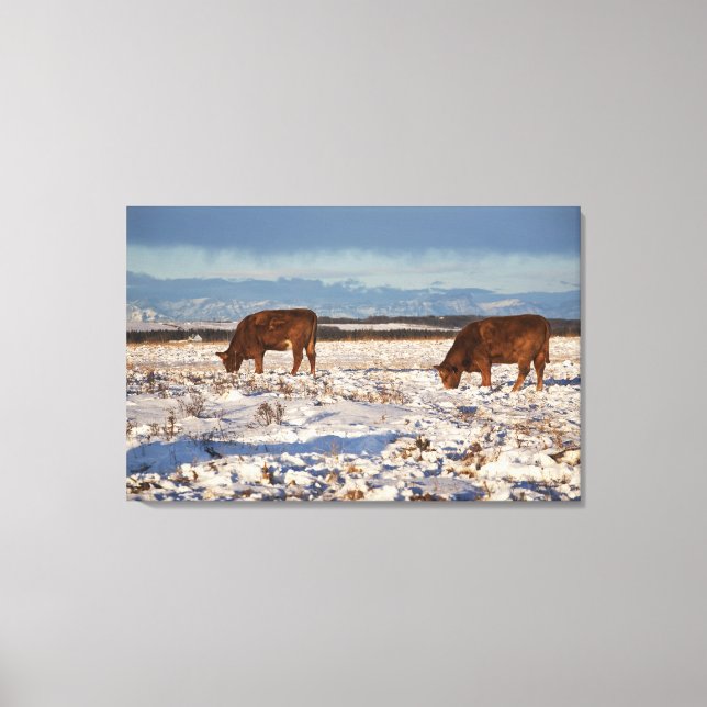 kalender, alberta, kanada 2 canvastryck (Framsida)