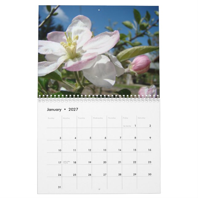 KALENDER ÄPPLABLOM Kalender Vår Konst (Jan 2027)