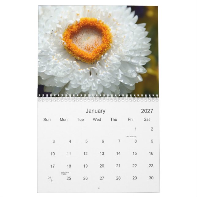 Kalender av blommor (Jan 2027)