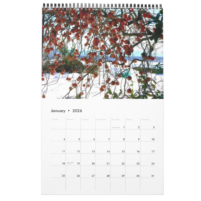 Kalender av den japanska bygden (Jan 2026)