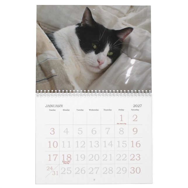 Kalender av ögonblick (Jan 2027)