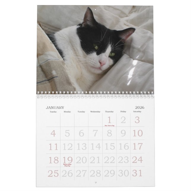 Kalender av ögonblick (Jan 2026)