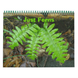 Kalender - bara Ferns