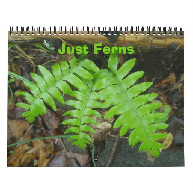 Kalender - bara Ferns (Omslag)