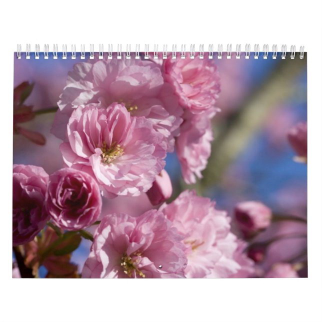 Kalender-blommor Kalender (Omslag)