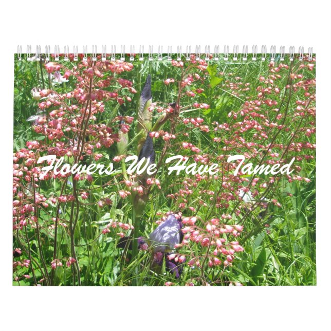 Kalender - Blommor som vi har manipulerat (Omslag)