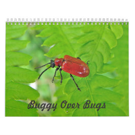 Kalender - Buggy over Kryp