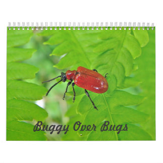 Kalender - Buggy over Kryp