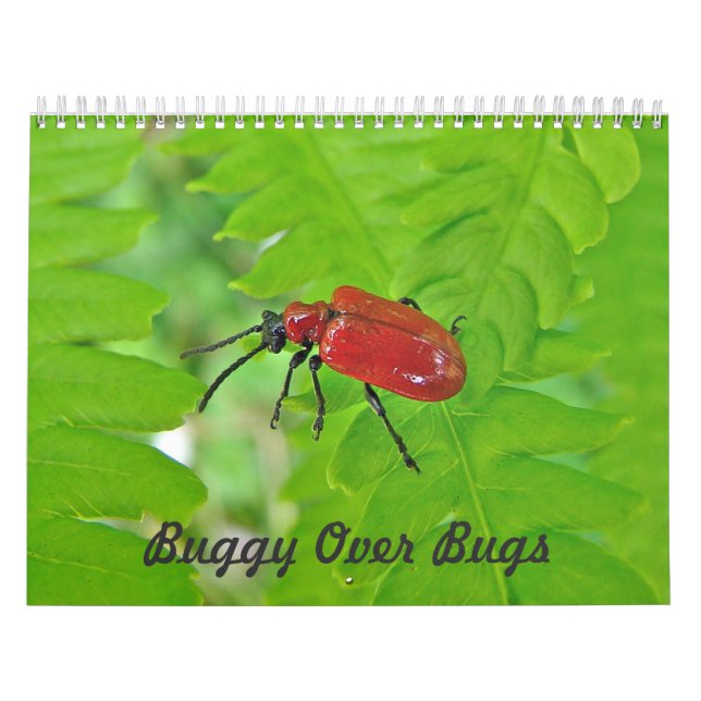 Kalender - Buggy over Kryp (Omslag)