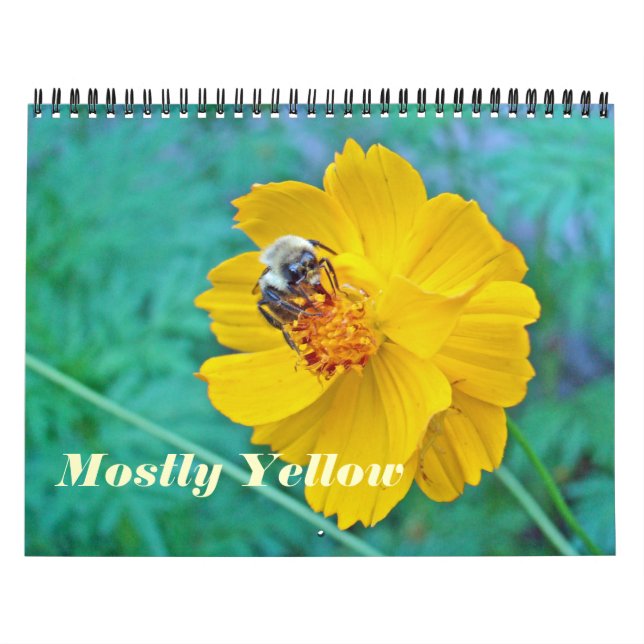 Kalender - de flesta Gulter (Omslag)