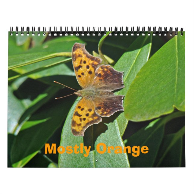 Kalender - de flesta Orangar (Omslag)