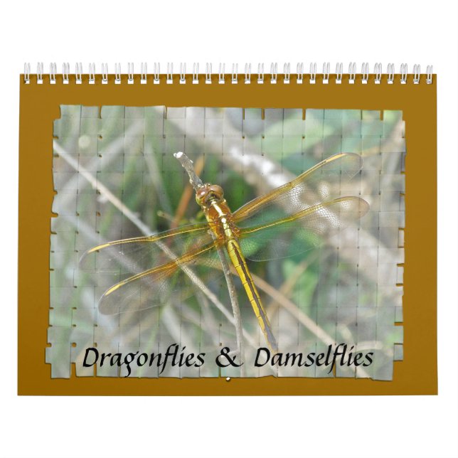 Kalender - Dragonflies & Damselflies (Omslag)
