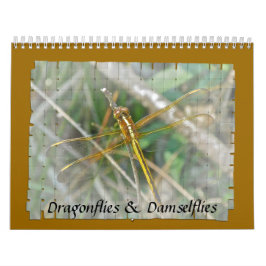 Kalender - Dragonflies & Damselflies