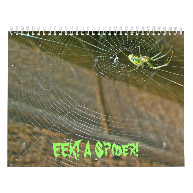 Kalender - EEK! En spider! (Omslag)