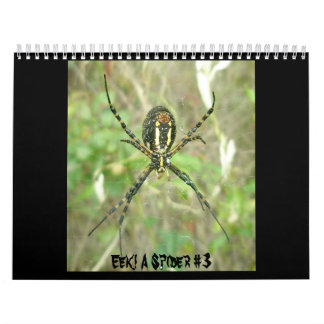 Kalender - Eek! En spindelspets nr 3
