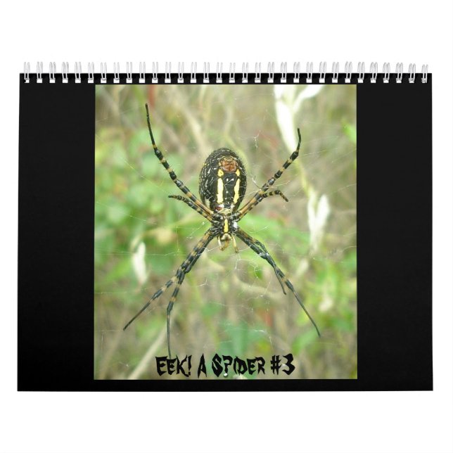 Kalender - Eek! En spindelspets nr 3 (Omslag)