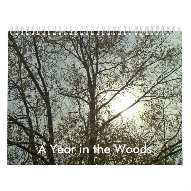Kalender - Ett år i Skogen (Omslag)