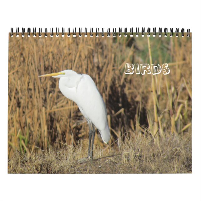 Kalender - Fåglar för nyår (Omslag)