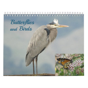 Kalender - fåglar och fjärilar