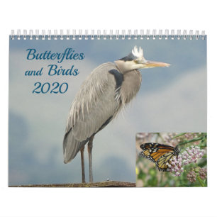 Kalender - fåglar och fjärilar