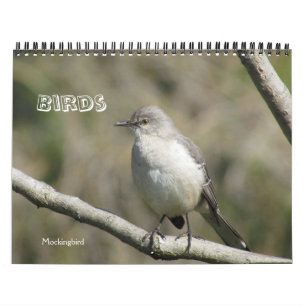 Kalender - Fåglar (stora data)