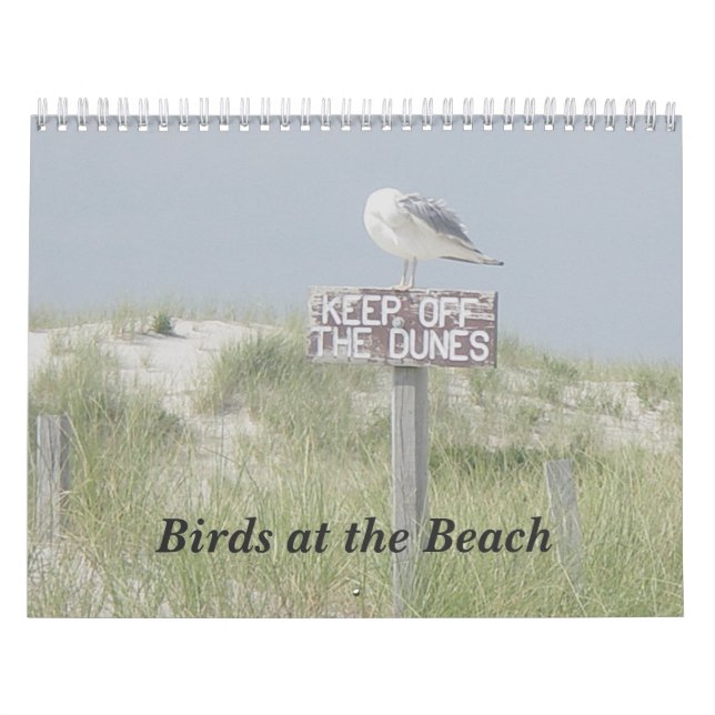 Kalender - Fåglar vid stranden (Omslag)