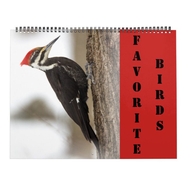 Kalender - Favoritfåglar (Omslag)