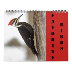 Kalender - Favoritfåglar