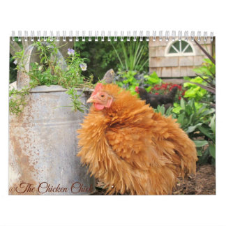 Kalender: Fega chick flock Kalender