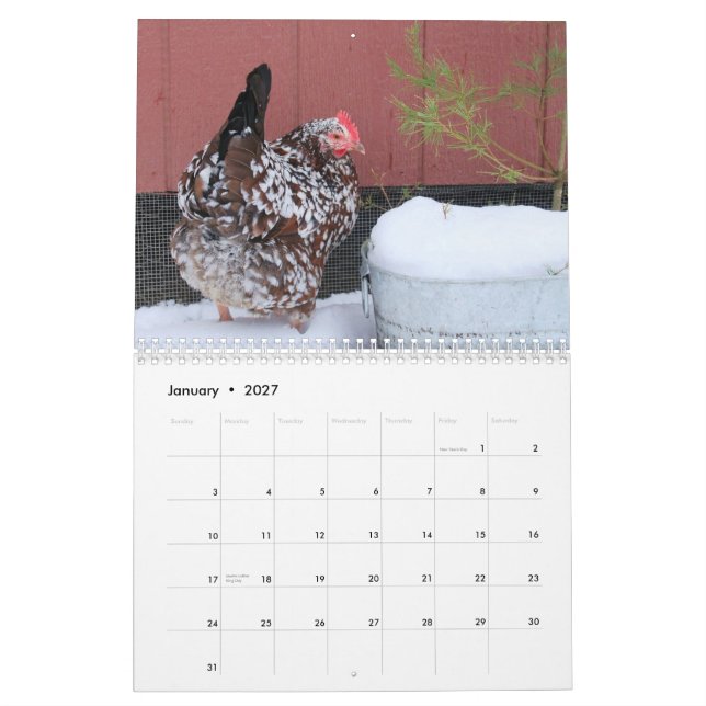 Kalender: Fega chick flock Kalender (Jan 2027)
