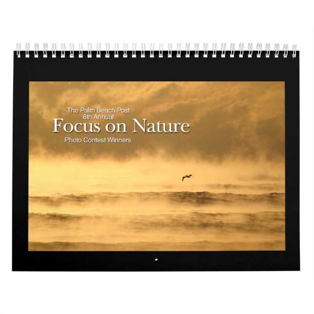 kalender för 12 månadvinnarear (Omslag)