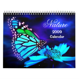 Kalender för 2009