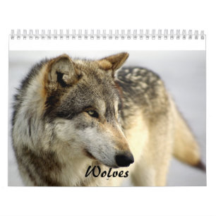 Kalender för 2009 varger