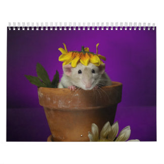 kalender för 2011 råtta