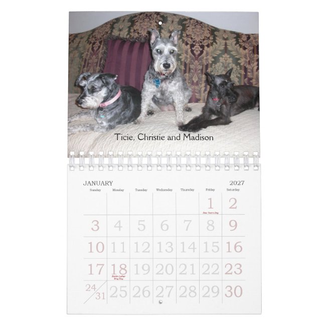 Kalender för 2011 SRM (Jan 2027)