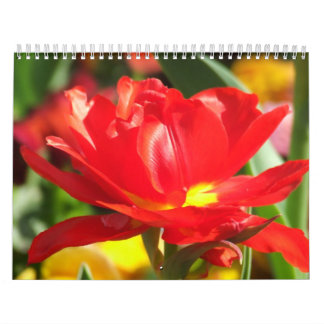 Kalender för 2012 blomma