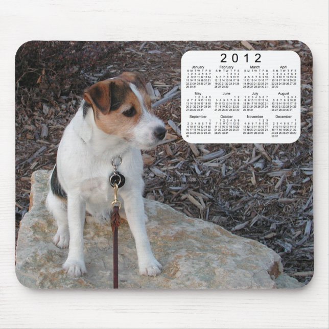 Kalender för 2012 Hund Musmatta (Framsidan)