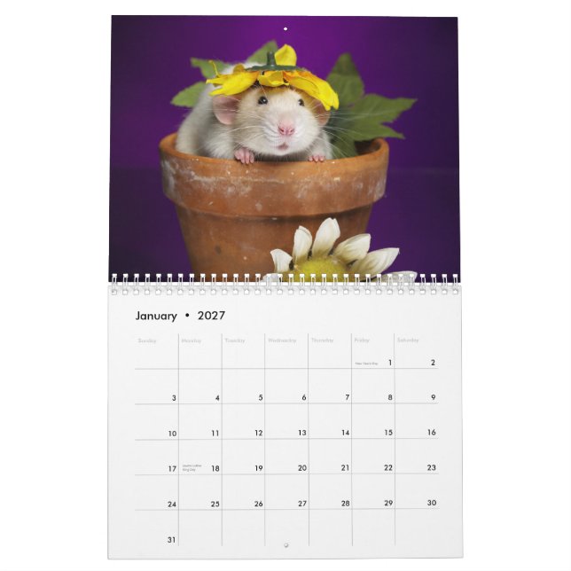 kalender för 2012 råtta (Jan 2027)