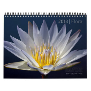 KALENDER FÖR 2013 FLOROR VID FOTO FÖR MAYES %PIP