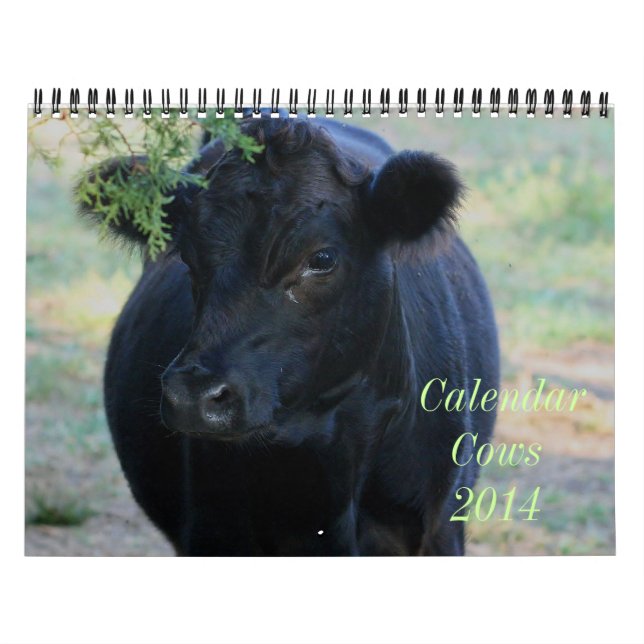 Kalender för 2014 ko (Omslag)