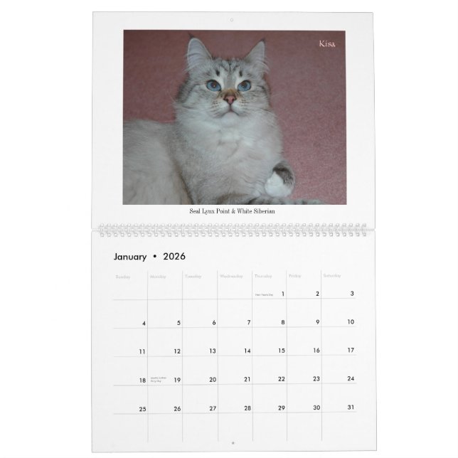 Kalender för 2014 Siberianskatter & kattunge (Jan 2026)